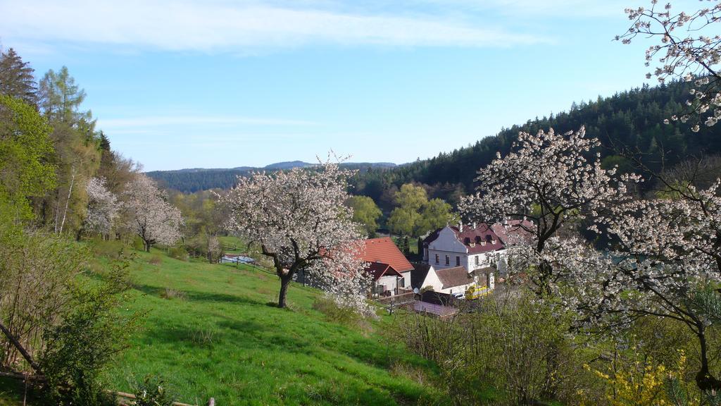 Penzion Padrtuv Mlyn Třebíč Kültér fotó